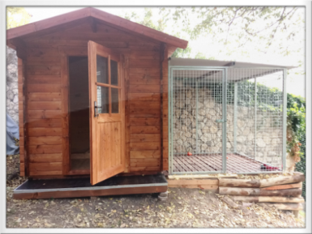 box in legno per cani con recinto sgambatoio in rete zincata