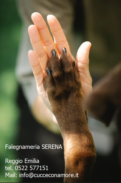 qua la zampa la zampa del cane affettuosamente si appoggia al palmo della mano del suo padroncino